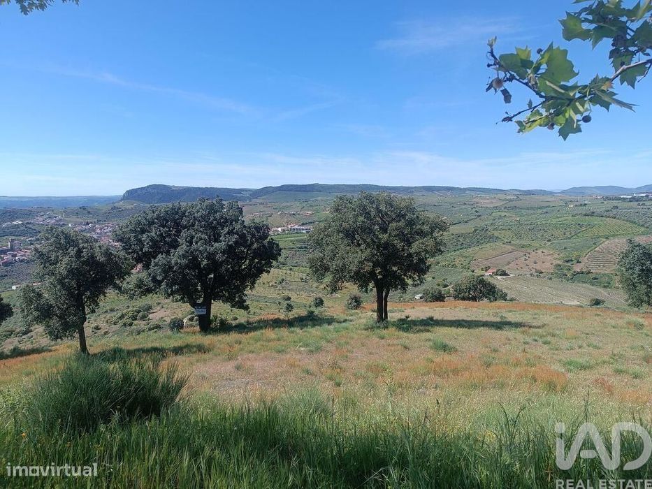 Terreno em Freixo de Espada à Cinta e Mazouco de 49572,00 m2