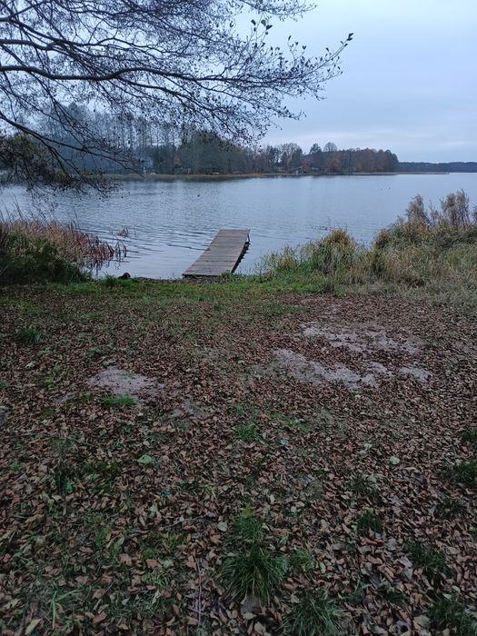 Dzierżawa działki