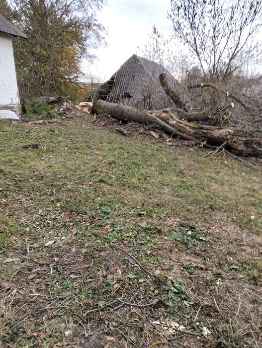 Зрізання дерев будь-якої складності!