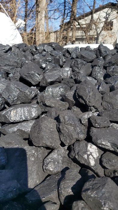 Węgiel PROMOCJA PGG orzech kostka groszek Pieklorz Staszic