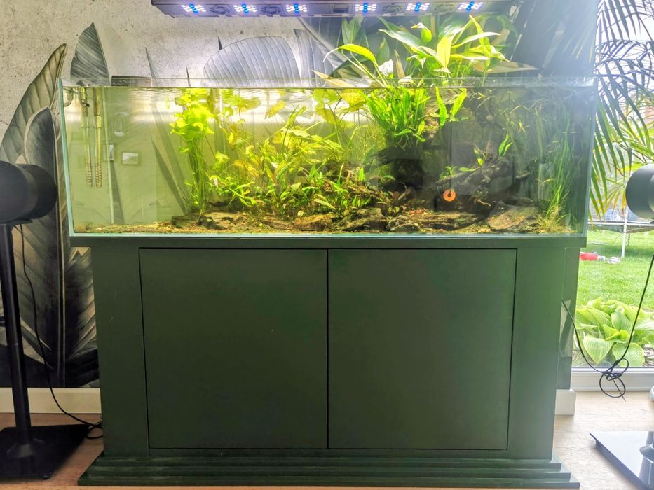 Akwarium opti white 254 l hi-tech CO₂ Maxspect pH filtracja Eheim Aquael