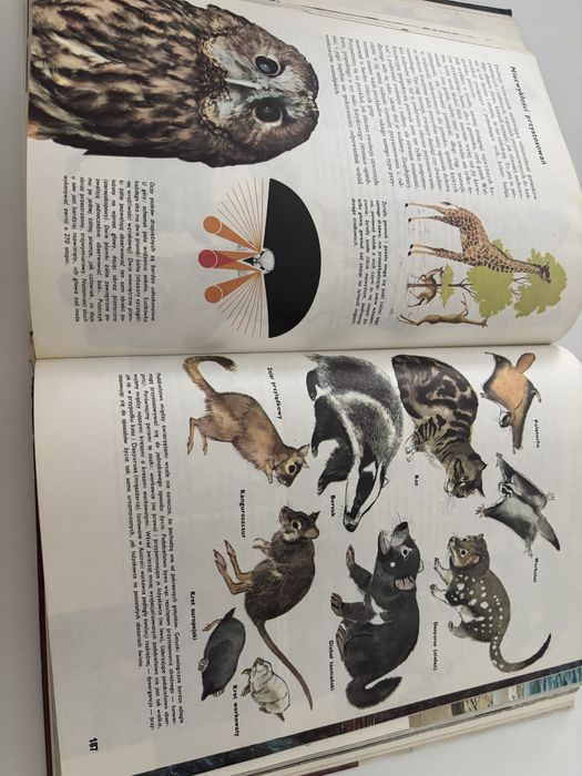 „Ziemia, rośliny, zwierzęta” Larousse