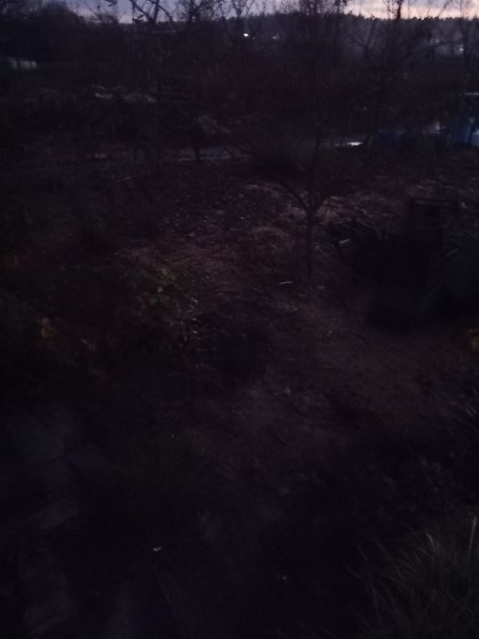 Продам или сдам дачу.