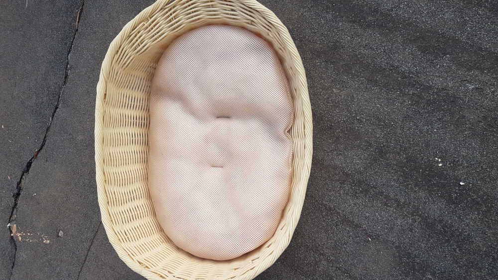 Vendo artigos para animais.