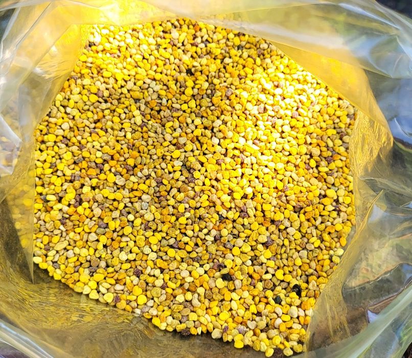 Pyłek Pszczeli 500 gram