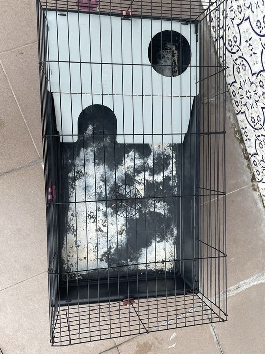 Gaiola para roedores/porquinho da india