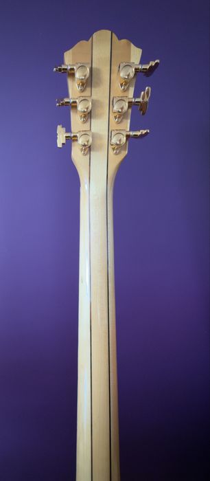 Washburn HB-35 Semi-Hollow – Estilo Gibson ES-335 – Excelente estado