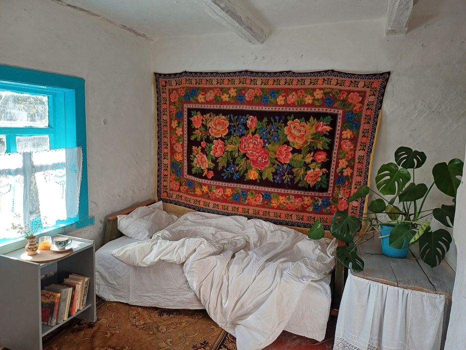 Продам будинок в с. Виблі