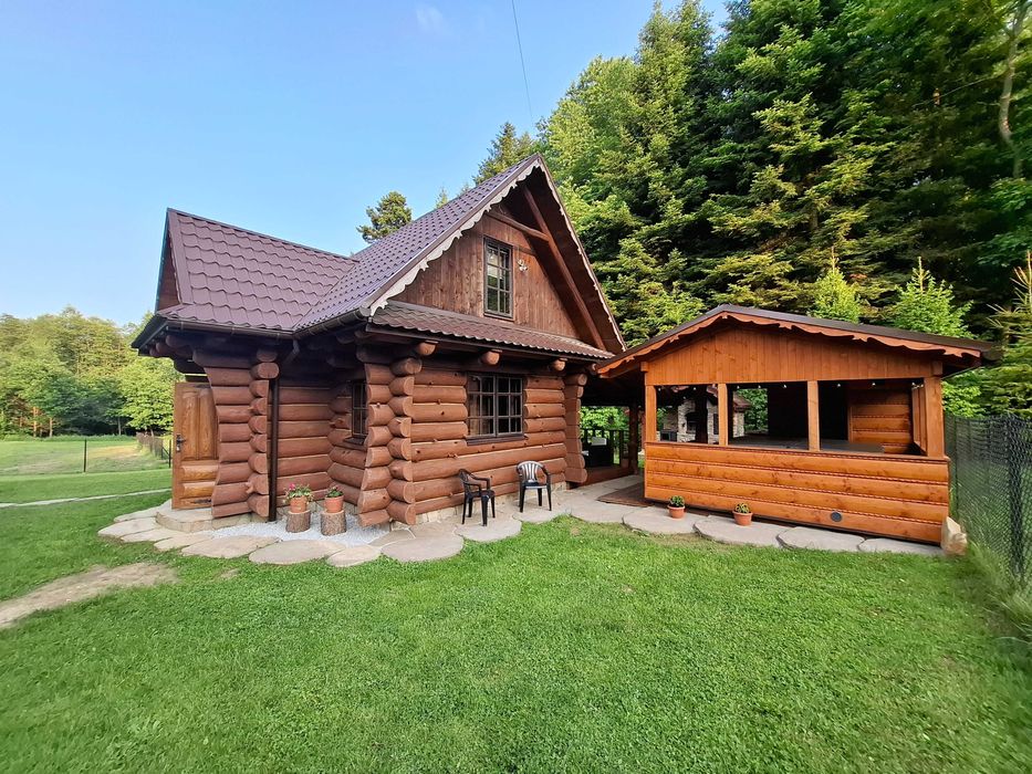 domek, pokoje do wynajęcia, sauna, jacuzzi, pstrąg