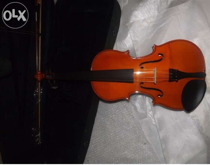 Viola64309595325697123