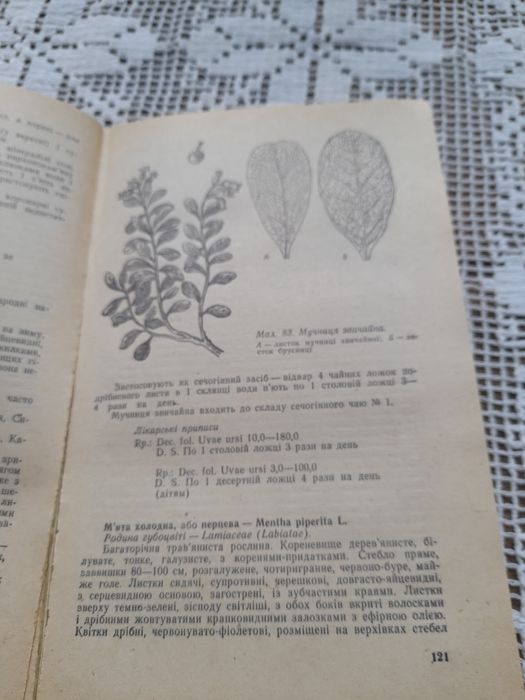 Лікарські рослини і їх застосування