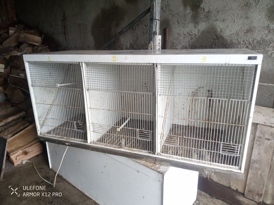 Gaiola de 3 divisões