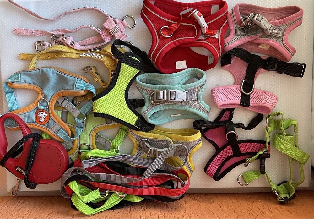 Одяг шлейка поводок комбінезон куртка світер для собак міні