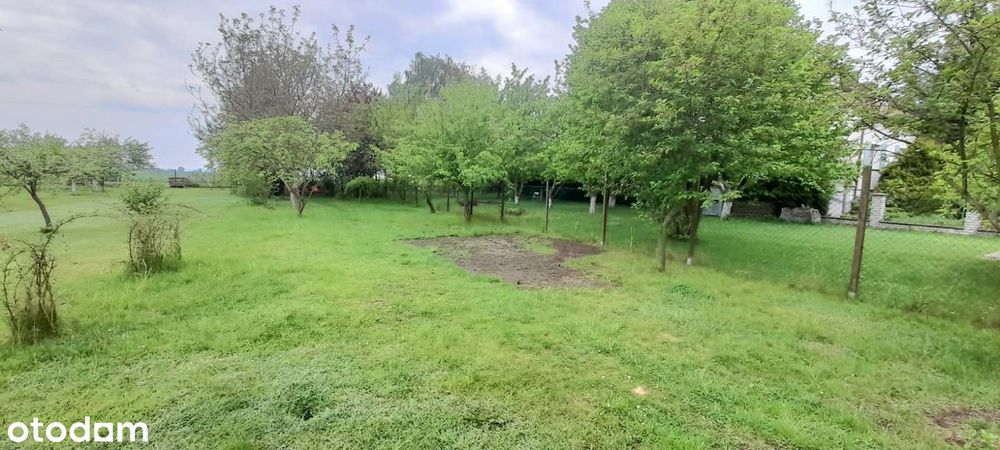 Przestronne mieszkanie z 800 m² ogrodem