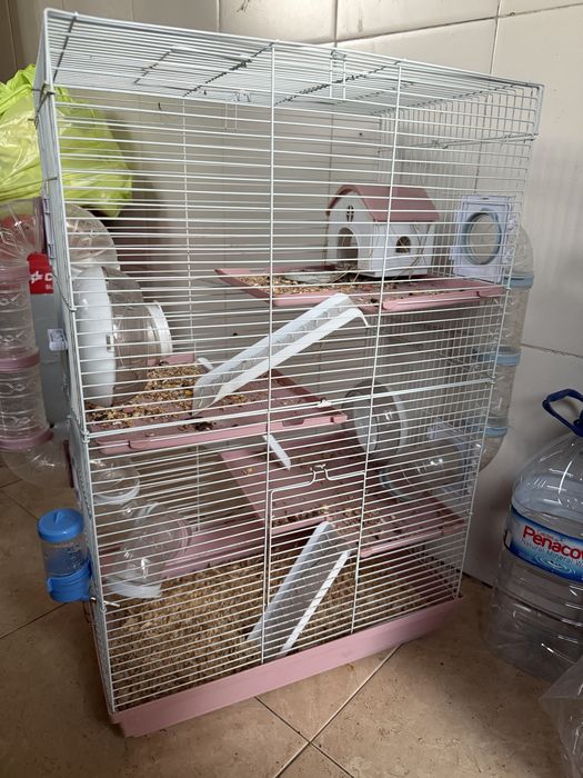 Gaiola grande para hamster/roedores – completa com acessórios