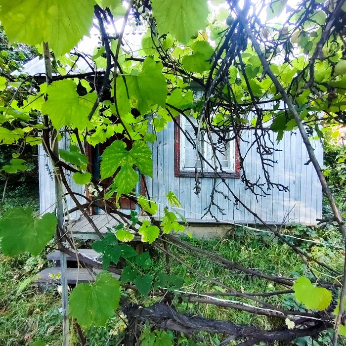 Продаж земельної ділянки у Вишгороді (СТ «Енергетик»)