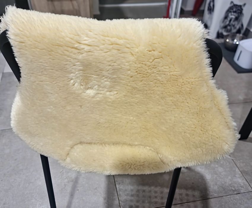 Proteção dorso cavalo