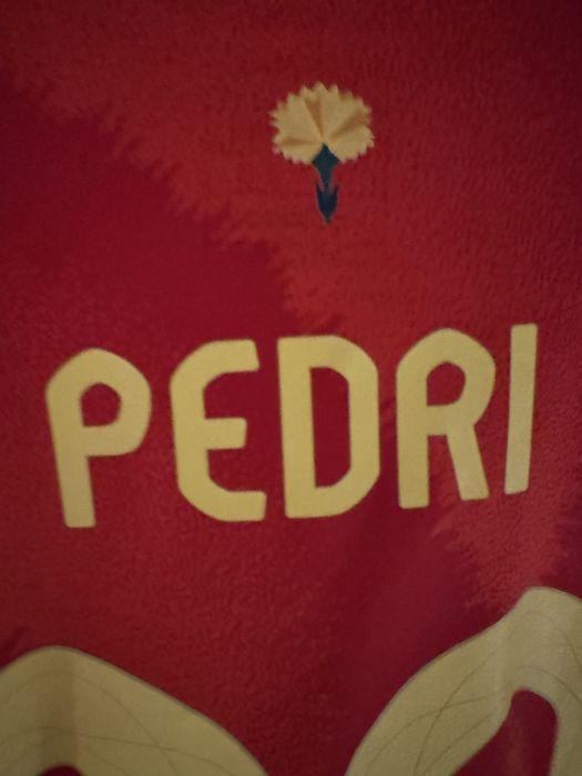 Koszulka Pedri 20# hiszpania
