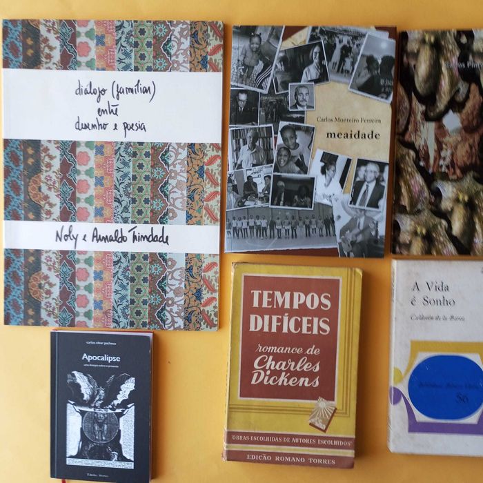 Coleção de Livros Mistos - Autores Variados - Conjunto 28