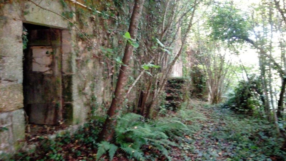 Quinta da Póvoa da Medronhosa, Repeses e São Salvador, Viseu