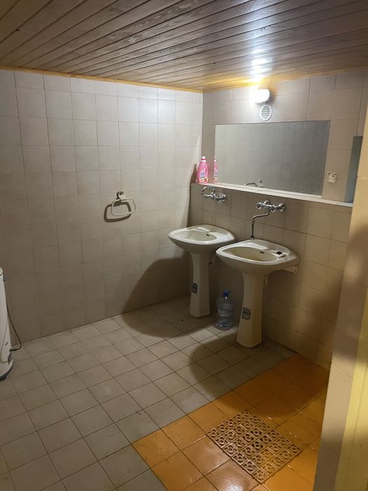 Dzialka leśna Kolumna wynajme