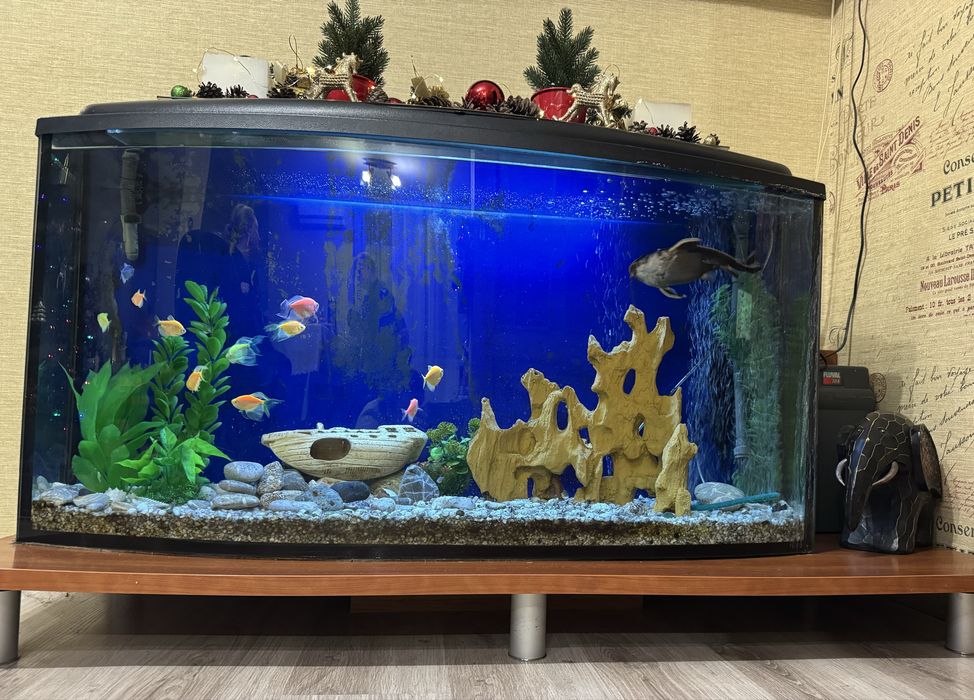 Акваріум 200 л з зовнішнім фільтром Fluval, тумбою та підсвіткою