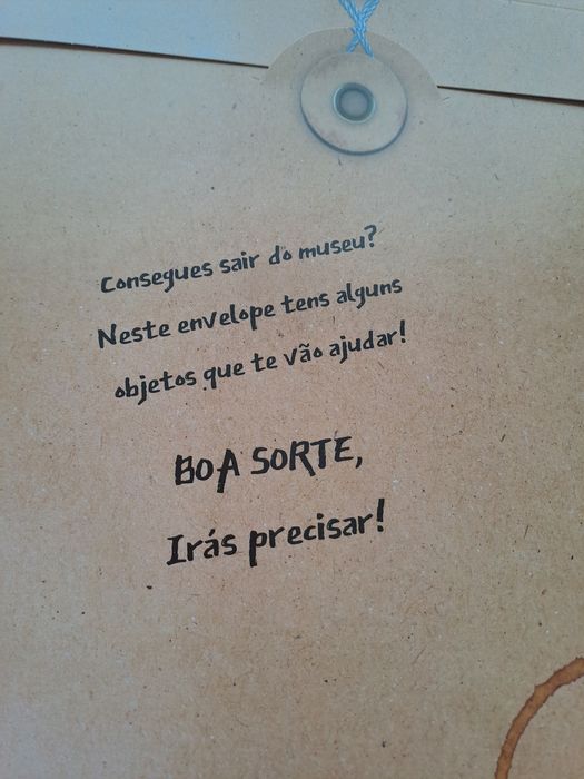 Livro novo interativo "Escape Room"