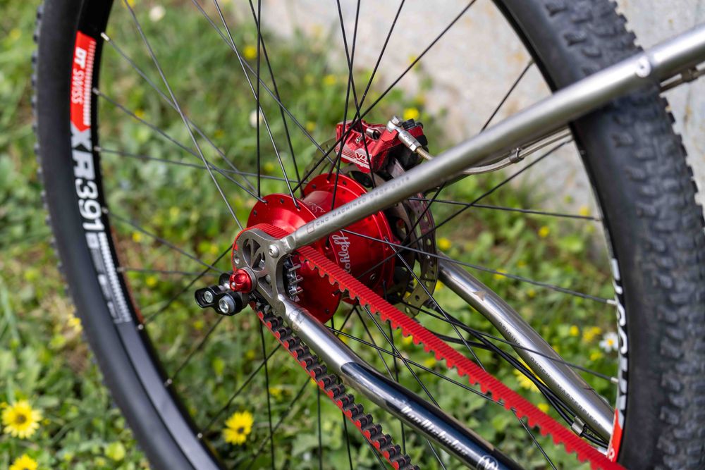 Van Nicholas Zion 29 Titanium Er Rohloff Speedhub 14-spd belt red 2020