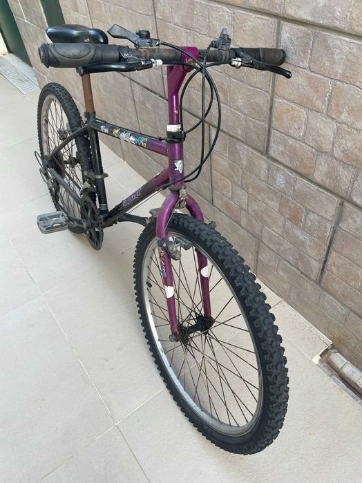 Bicicletas de passeio