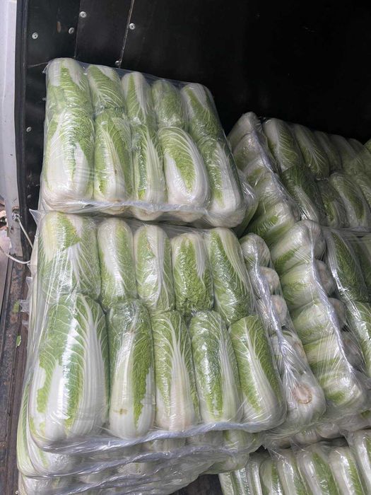 Пекінську капусту потребую на постійній основі