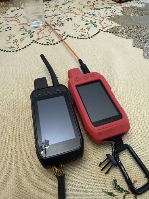 Garmin Alpha 200 Obroża k5