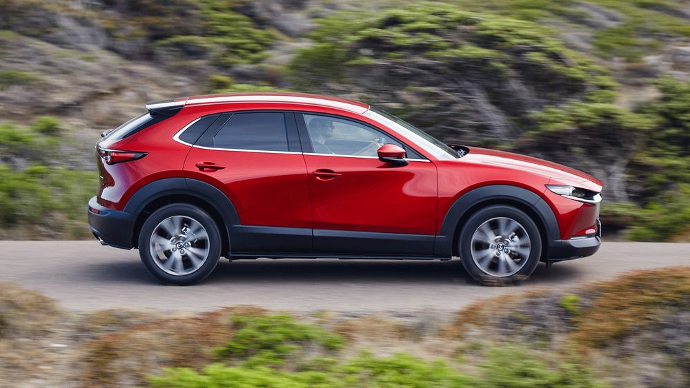 Zdjecie w galerii numer 3