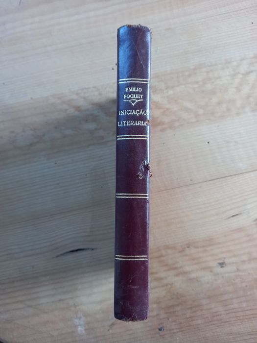 Iniciação Literária
