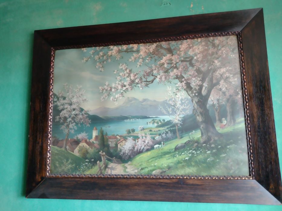 Akwarela na sitodruku 88cm na 118cm 19 wiek