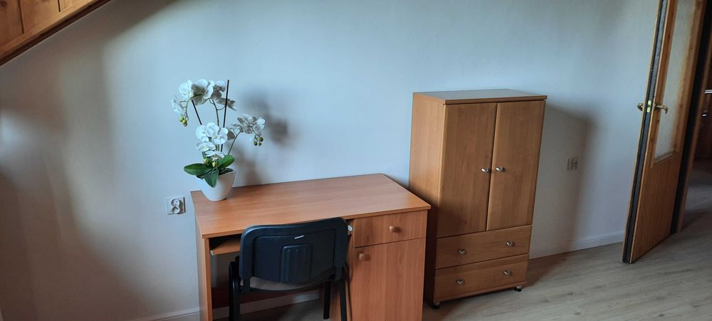 Mieszkanie dwupokojowe do wynajęcia