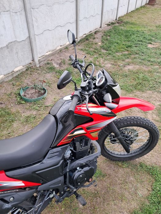 Лонсін прус в хорошому стані