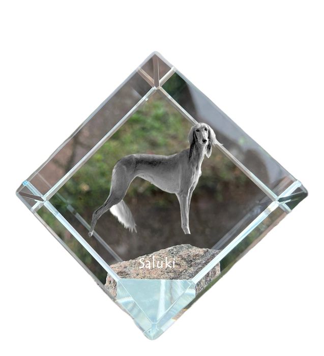 Chart perski, Saluki I kostka kryształowa z psem Art-Dog