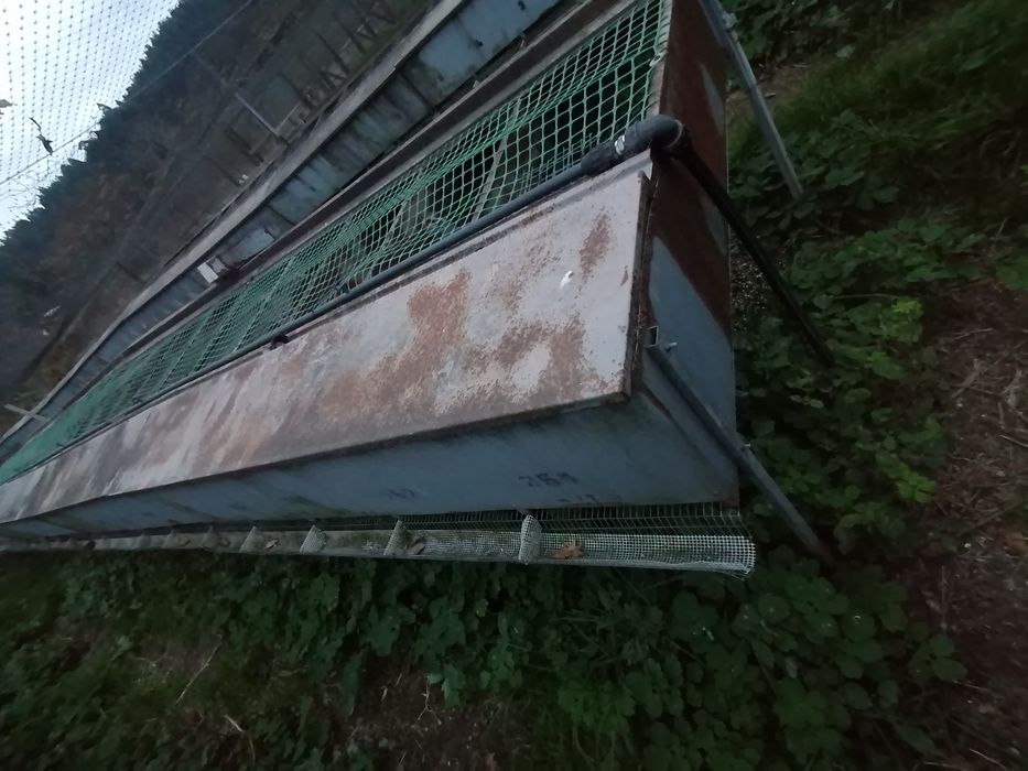 Bird Cages64729520460163121