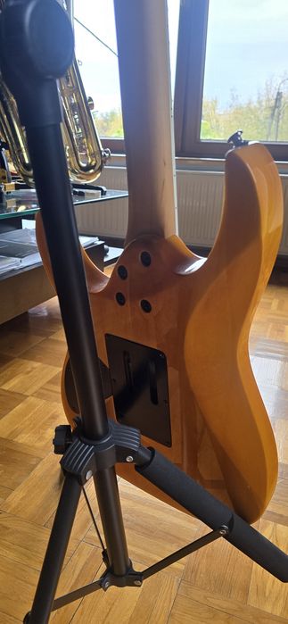Ibanez RG320 DXFM