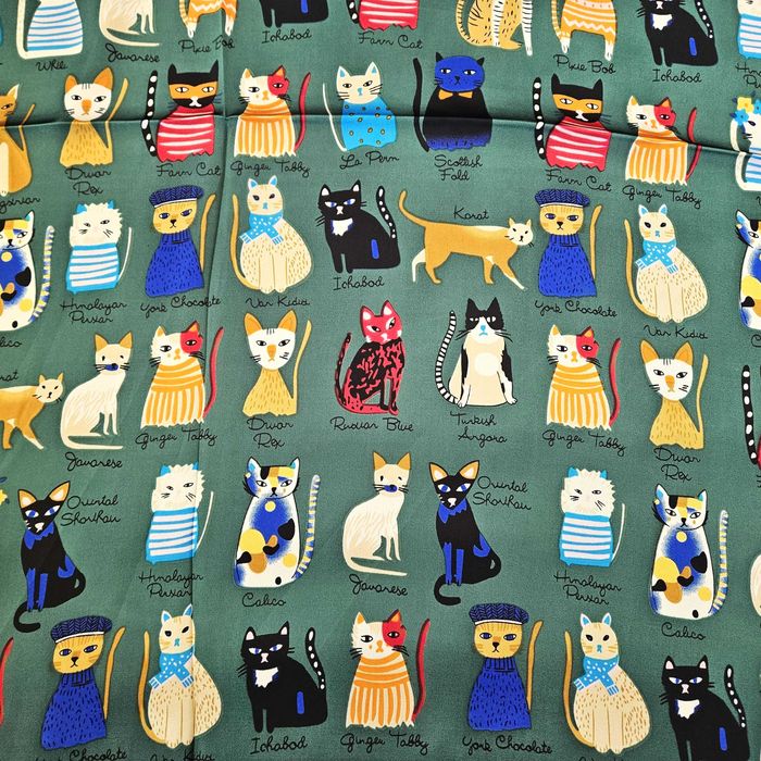 Cat scarf / cachecol de gato