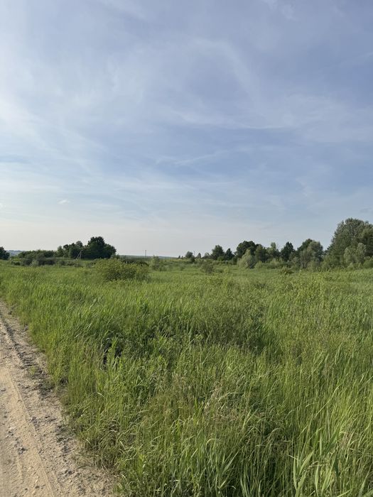 Ділянка біля озера (карєру) ШКЛО