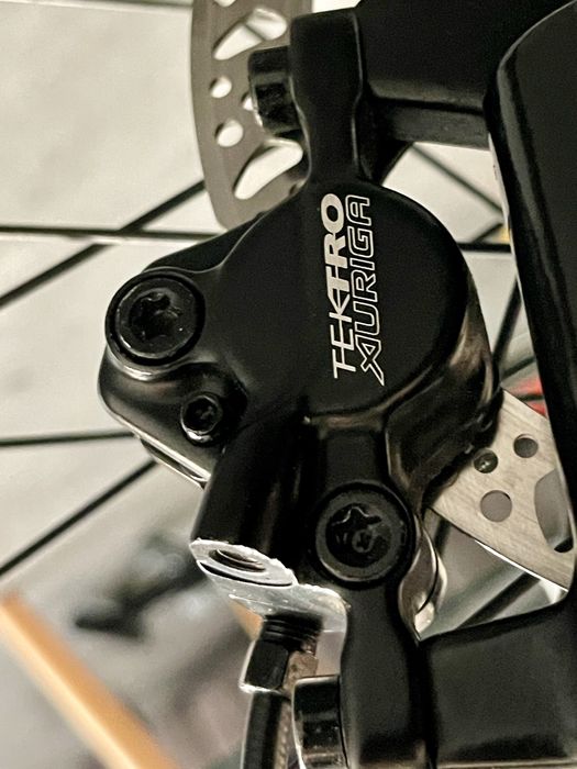 Rower Focus Whistler 29 cali roz. L