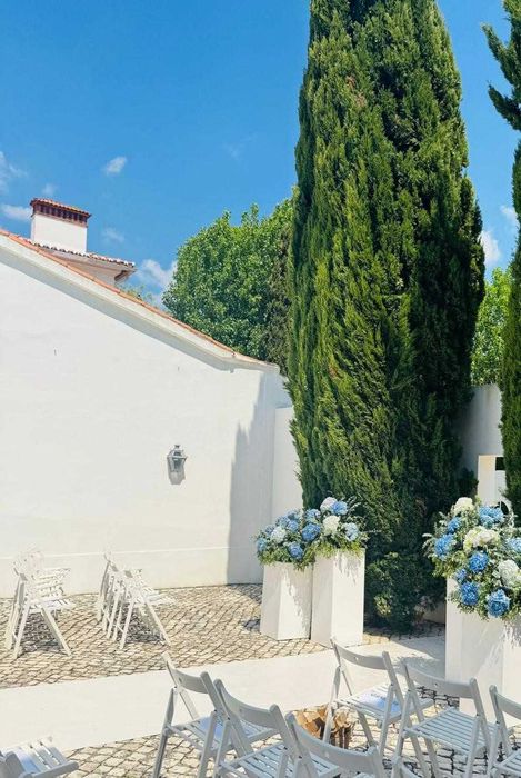 Alcatifa beje para evento desfile