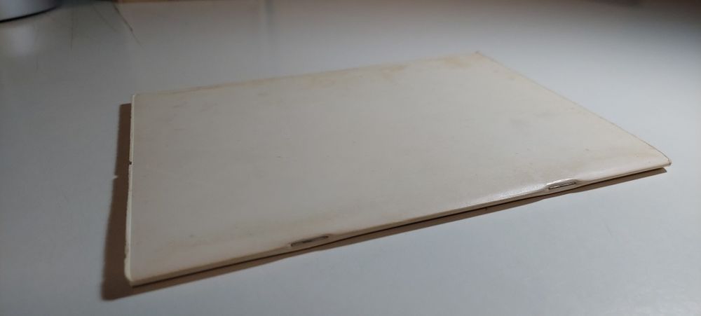 Declaração de Princípios e Programa do Partido Socialista (1973)