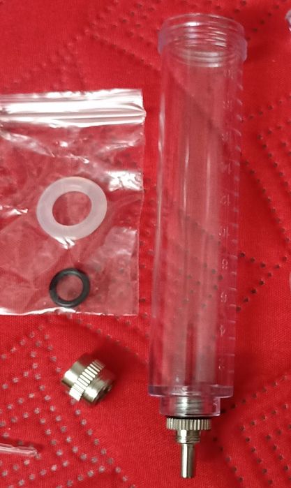 Pássaro aves animais criações