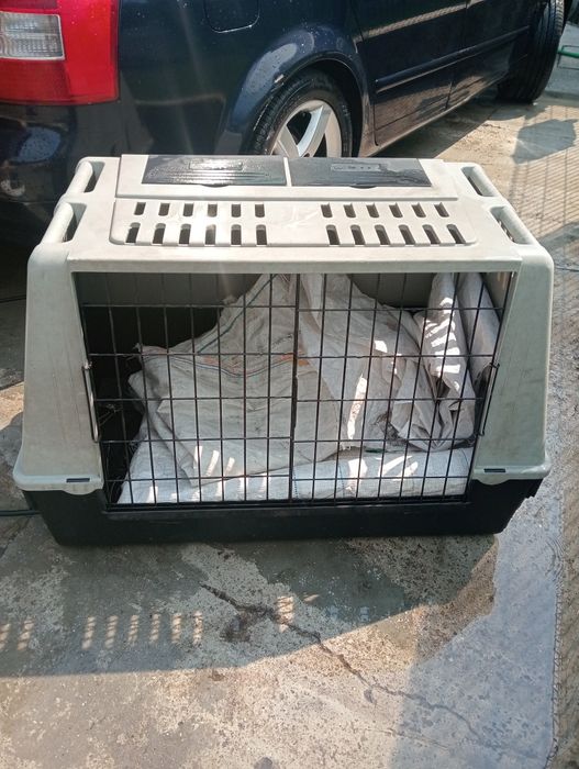 Transportadora de cães