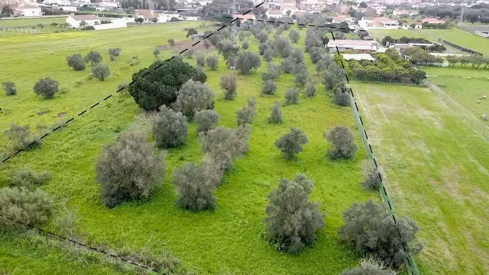 2 Terrenos rústicos na Quinta do AnjoPalmela Palmela • OLX Portugal