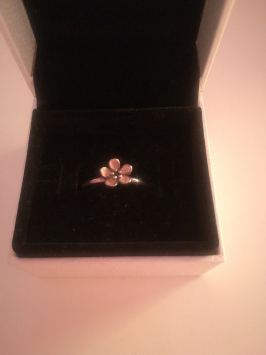 Anél Pandora como novo