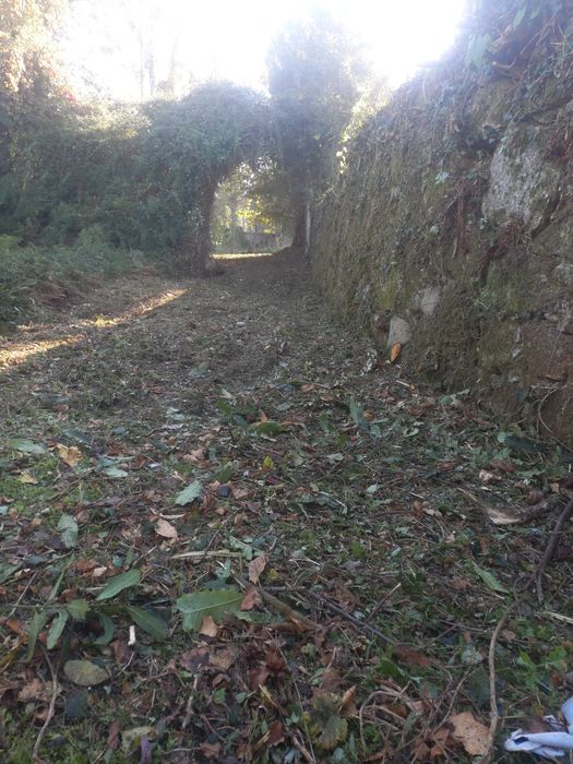 Limpeza de terrenos