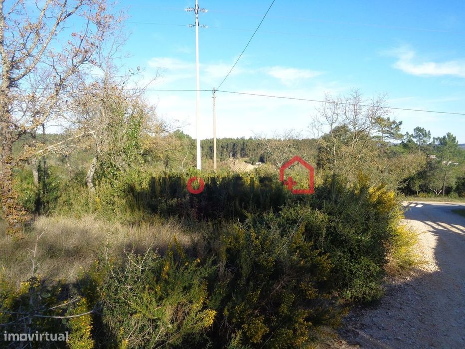 Lote Terreno